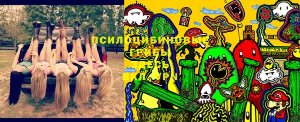 гашиш Абаза